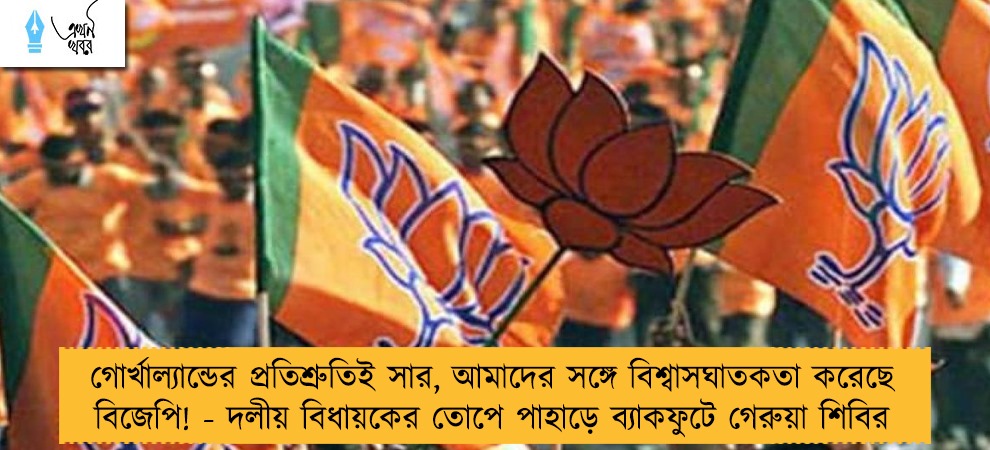 গোর্খাল্যান্ডের প্রতিশ্রুতিই সার, আমাদের সঙ্গে বিশ্বাসঘাতকতা করেছে বিজেপি! - দলীয় বিধায়কের তোপে পাহাড়ে ব্যাকফুটে গেরুয়া শিবির