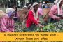 ভুয়ো জবকার্ড নিয়ে ভোলবদল সাধ্বীর! - বিপদে পড়ে সুর পালটানোর চেষ্টা, মোদীর মন্ত্রীকে ধুয়ে দিলেন সুদীপ