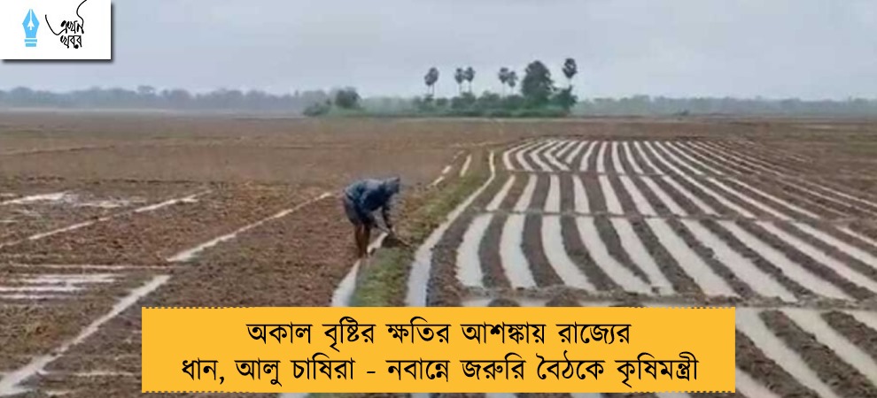 অকাল বৃষ্টির ক্ষতির আশঙ্কায় রাজ্যের ধান, আলু চাষিরা - নবান্নে জরুরি বৈঠকে কৃষিমন্ত্রী