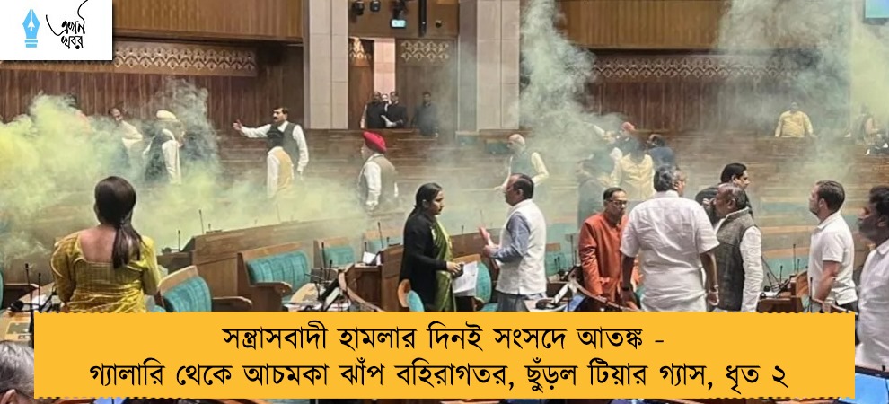 সন্ত্রাসবাদী হামলার দিনই সংসদে আতঙ্ক - গ্যালারি থেকে আচমকা ঝাঁপ বহিরাগতর, ছুঁড়ল টিয়ার গ্যাস, ধৃত ২