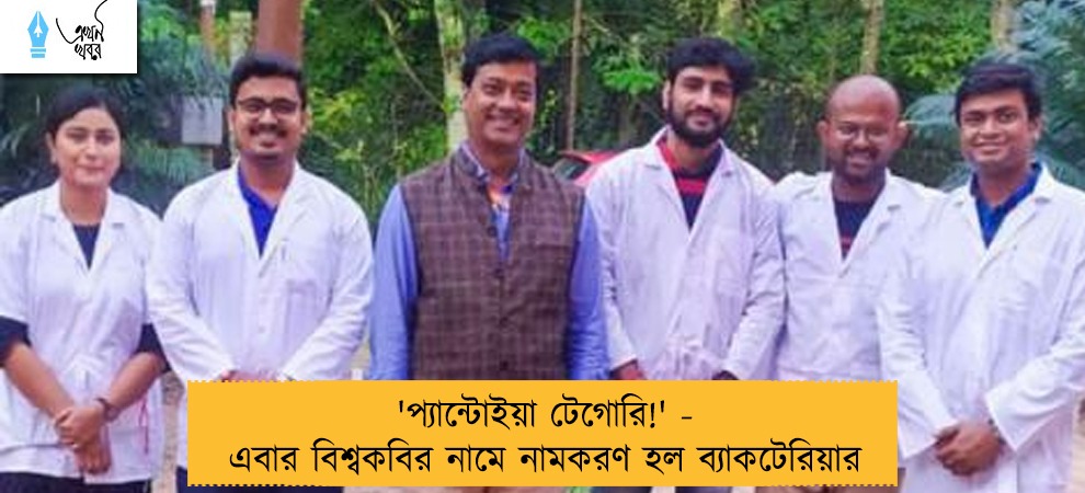 'প্যান্টোইয়া টেগোরি!' - এবার বিশ্বকবির নামে নামকরণ হল ব্যাকটেরিয়ার