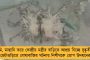 নতুন বছর শুরুর আগেই সুখবর - জেলায় প্রধান শিক্ষক পদে নিয়োগ ১৯৫০