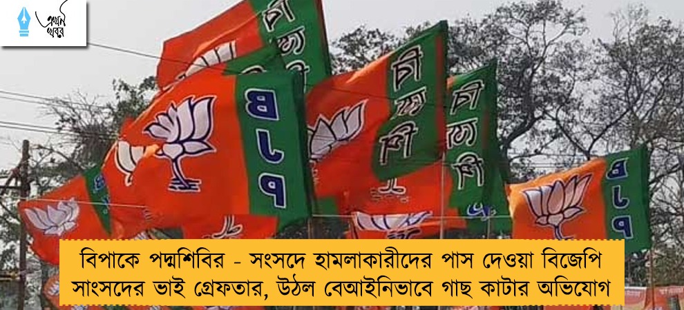 বিপাকে পদ্মশিবির - সংসদে হামলাকারীদের পাস  দেওয়া বিজেপি সাংসদের ভাই গ্রেফতার, উঠল বেআইনিভাবে গাছ কাটার অভিযোগ