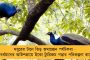 ওভারহেড তার ছিঁড়ে বড় বিপত্তি হাওড়া স্টেশনে - শীতের রাতে বিঘ্নিত ট্রেন চলাচল, ক্ষোভে ফেটে পড়লেন যাত্রীরা