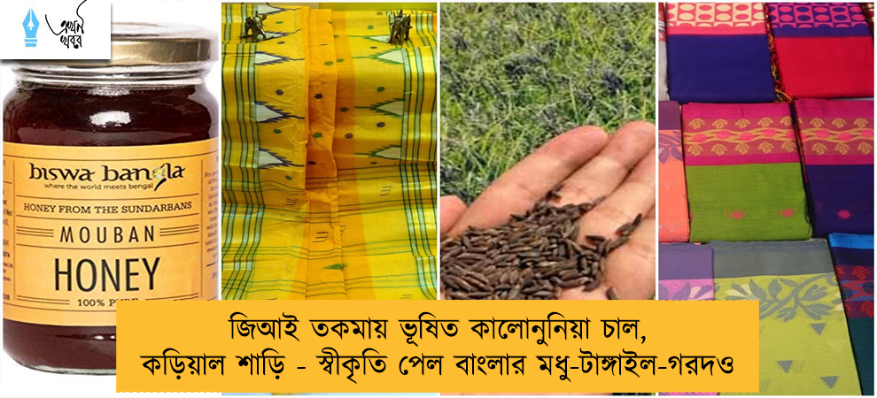 জিআই তকমায় ভূষিত কালোনুনিয়া চাল, কড়িয়াল শাড়ি - স্বীকৃতি পেল বাংলার মধু-টাঙ্গাইল-গরদও