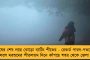 সোনিয়া গান্ধী মমতাকে ফোন করলে বাড়তি ১টি আসন ছাড়া হতে পারে কংগ্রেসকে! - 'সৌজন্য' দেখাতে রাজি তৃণমূল