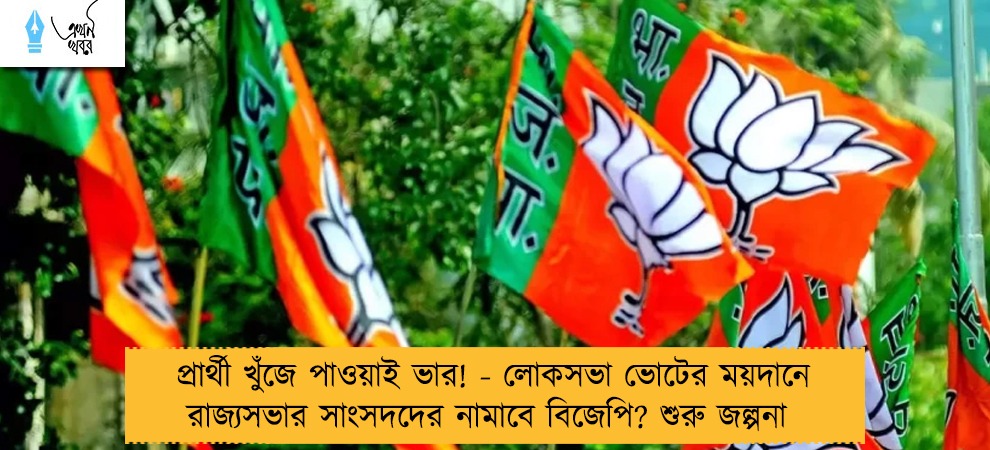 প্রার্থী খুঁজে পাওয়াই ভার! - লোকসভা ভোটের ময়দানে রাজ্যসভার সাংসদদের নামাবে বিজেপি? শুরু জল্পনা