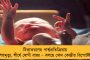 সন্দেশখালিতে নতুন করে ঝামেলা পাকানোর চেষ্টা করলে কপালে দুঃখ আছে – হুঁশিয়ারি বারাসতের ডিআইজি-র