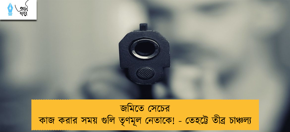 জমিতে সেচের কাজ করার সময় গুলি তৃণমূল নেতাকে! - তেহট্টে তীব্র চাঞ্চল্য