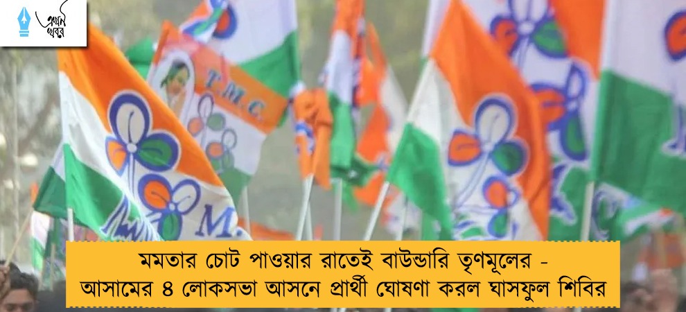 মমতার চোট পাওয়ার রাতেই বাউন্ডারি তৃণমূলের - আসামের ৪ লোকসভা আসনে প্রার্থী ঘোষণা করল ঘাসফুল শিবির