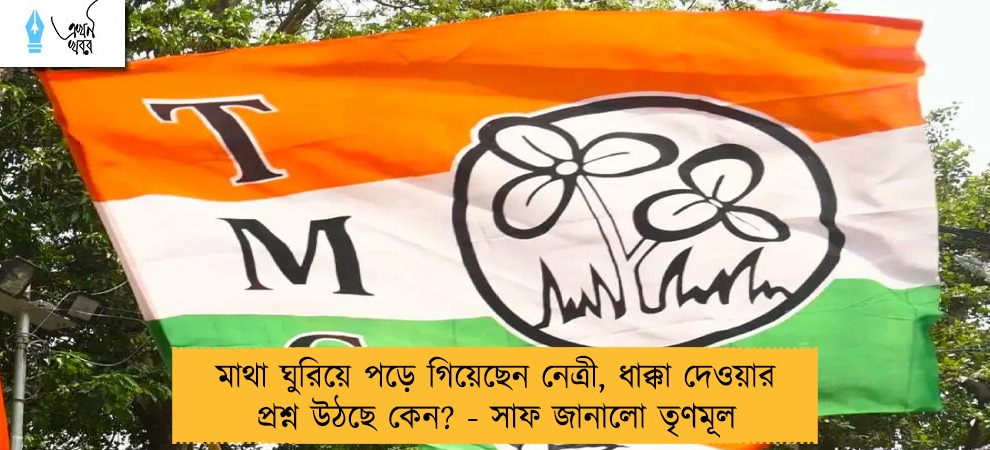 মাথা ঘুরিয়ে পড়ে গিয়েছেন নেত্রী, ধাক্কা দেওয়ার প্রশ্ন উঠছে কেন? - সাফ জানালো তৃণমূল