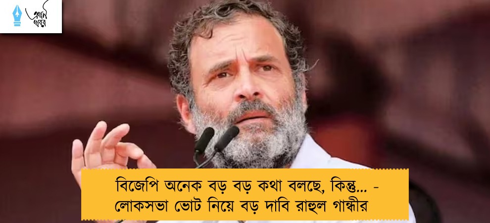 বিজেপি অনেক বড় বড় কথা বলছে, কিন্তু… - লোকসভা ভোট নিয়ে বড় দাবি রাহুল গান্ধীর
