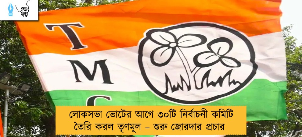 লোকসভা ভোটের আগে ৩০টি নির্বাচনী কমিটি তৈরি করল তৃণমূল – শুরু জোরদার প্রচার