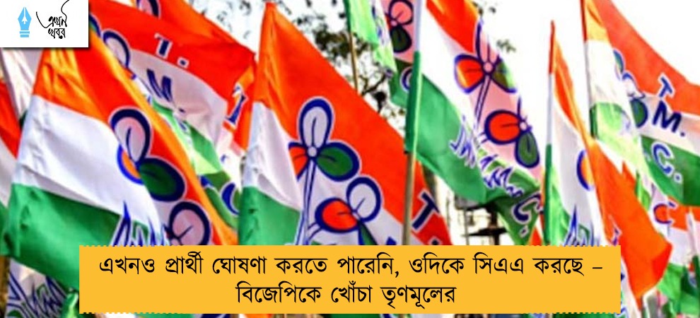 এখনও প্রার্থী ঘোষণা করতে পারেনি, ওদিকে সিএএ করছে – বিজেপিকে খোঁচা তৃণমূলের