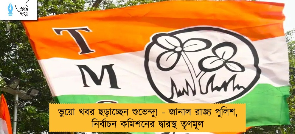 ভুয়ো খবর ছড়াচ্ছেন শুভেন্দু! - জানাল রাজ্য পুলিশ, নির্বাচন কমিশনের দ্বারস্থ তৃণমূল
