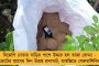 ক্রমশ কমবে বৃষ্টি, বৃহস্পতিবার থেকে রাজ্যে বাড়বে তাপমাত্রা - পূর্বাভাস হাওয়া অফিসের