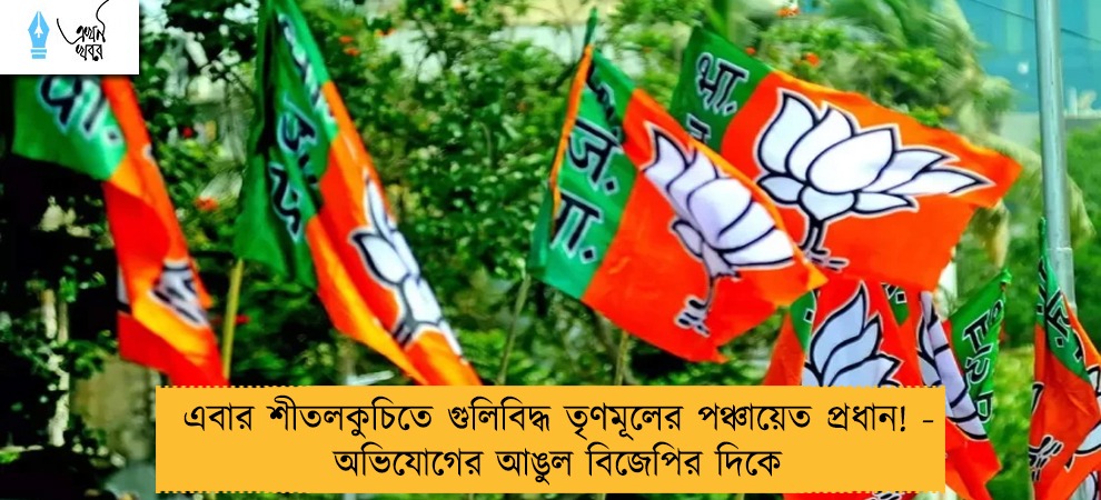 এবার শীতলকুচিতে গুলিবিদ্ধ তৃণমূলের পঞ্চায়েত প্রধান! - অভিযোগের আঙুল বিজেপির দিকে