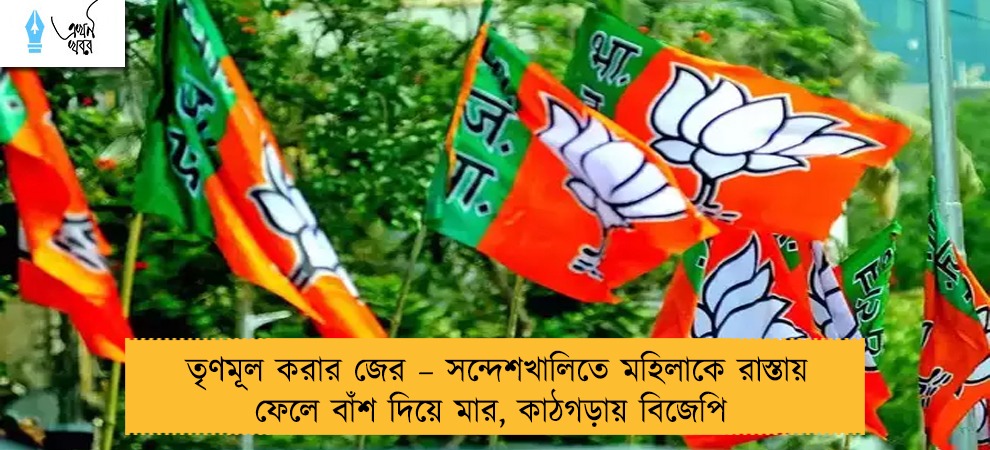 তৃণমূল করার জের – সন্দেশখালিতে মহিলাকে রাস্তায় ফেলে বাঁশ দিয়ে মার, কাঠগড়ায় বিজেপি