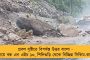 বুধবার বৃষ্টিতে ভিজতে পারে দক্ষিণবঙ্গের একাধিক জেলা - বইতে পারে দমকা হাওয়া, পূর্বাভাস হাওয়া অফিসের