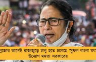 দুর্গাপুজোর আগেই রাজ্যজুড়ে চালু হতে চলেছে ‘সুফল বাংলা মৎস্য’ - উদ্যোগ মমতা সরকারের
