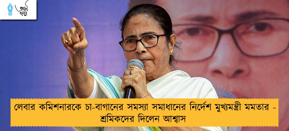 লেবার কমিশনারকে চা-বাগানের সমস্যা সমাধানের নির্দেশ মুখ্যমন্ত্রী মমতার - শ্রমিকদের দিলেন আশ্বাস