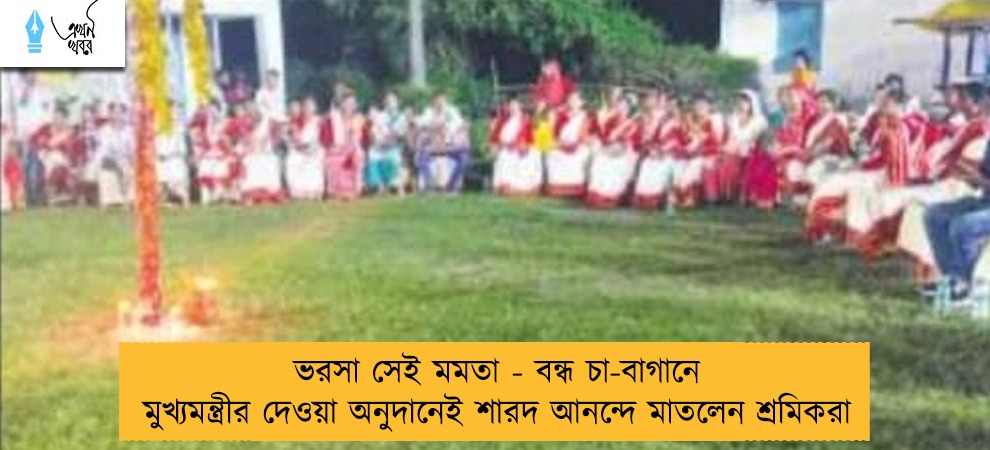 ভরসা সেই মমতা - বন্ধ চা-বাগানে মুখ্যমন্ত্রীর দেওয়া অনুদানেই শারদ আনন্দে মাতলেন শ্রমিকরা