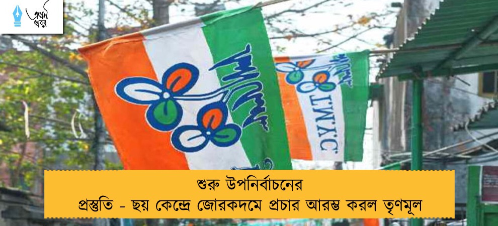 শুরু উপনির্বাচনের প্রস্তুতি - ছয় কেন্দ্রে জোরকদমে প্রচার আরম্ভ করল তৃণমূল