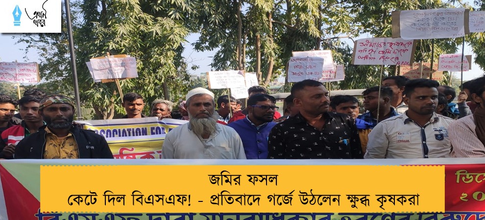 জমির ফসল কেটে দিল বিএসএফ! - প্রতিবাদে গর্জে উঠলেন ক্ষুব্ধ কৃষকরা