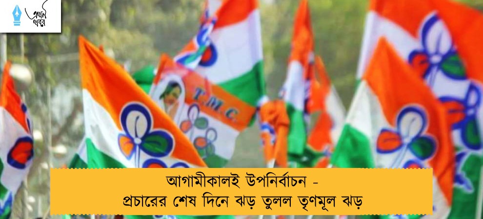 আগামীকালই উপনির্বাচন - প্রচারের শেষ দিনে ঝড় তুলল তৃণমূল ঝড়