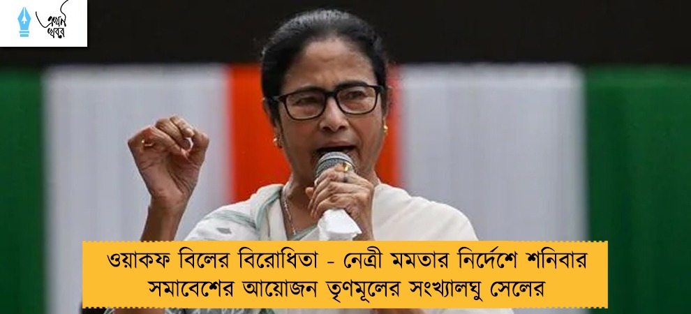 ওয়াকফ বিলের বিরোধিতা - নেত্রী মমতার নির্দেশে শনিবার সমাবেশের আয়োজন তৃণমূলের সংখ্যালঘু সেলের