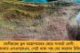 কলকাতায় তৈরি হতে চলেছে বিগ বাজার ও লেদার হাব - বাংলার সমস্ত জেলা সদরে শপিং মল গড়ে তোলার উদ্যোগ নিল মমতা সরকার