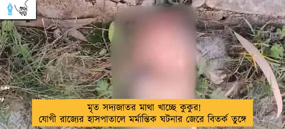 মৃত সদ্যজাতর মাথা খাচ্ছে কুকুর! যোগী রাজ্যের হাসপাতালে মর্মান্তিক ঘটনার জেরে বিতর্ক তুঙ্গে