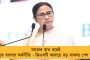 রায়দিঘিতে 'ক্লিন সুইপ' তৃণমূলের - তিন সমবায়েই বিপুল জয় পেল ঘাসফুল শিবির