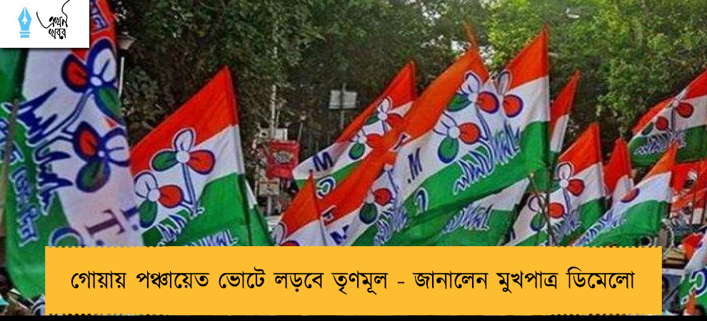 গোয়ায় পঞ্চায়েত ভোটে লড়বে তৃণমূল - জানালেন মুখপাত্র ডিমেলো