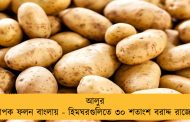 আলুর ব্যাপক ফলন বাংলায় - হিমঘরগুলিতে ৩০ শতাংশ বরাদ্দ রাজ্যের