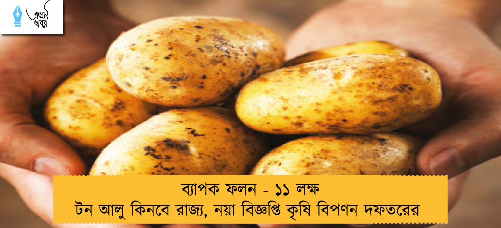 ব্যাপক ফলন - ১১ লক্ষ টন আলু কিনবে রাজ্য, নয়া বিজ্ঞপ্তি কৃষি বিপণন দফতরের