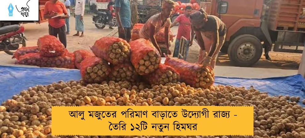 আলু মজুতের পরিমাণ বাড়াতে উদ্যোগী রাজ্য - তৈরি ১২টি নতুন হিমঘর