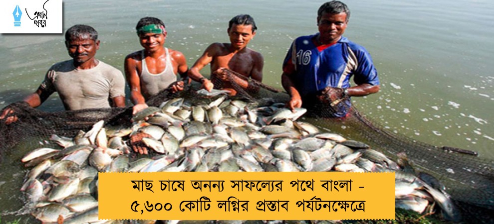 মাছ চাষে অনন্য সাফল্যের পথে বাংলা - ৫,৬০০ কোটি লগ্নির প্রস্তাব পর্যটনক্ষেত্রে