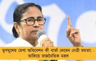তৃণমূলের মেগা অধিবেশন কী বার্তা দেবেন নেত্রী মমতা! - তাকিয়ে রাজনৈতিক মহল