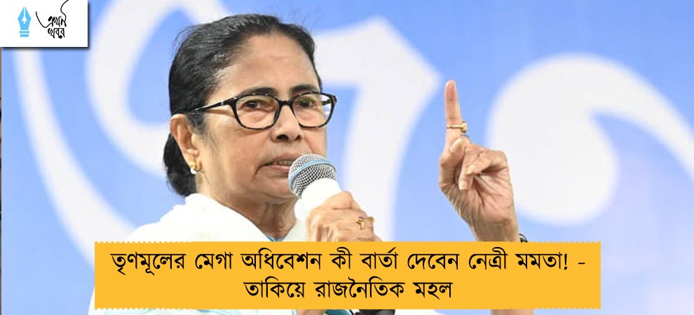 তৃণমূলের মেগা অধিবেশন কী বার্তা দেবেন নেত্রী মমতা! - তাকিয়ে রাজনৈতিক মহল