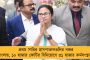 স্টয়নিসের আচমকা অবসরের পর চোটের জেরে চ্যাম্পিয়ন্স ট্রফি থেকে ছিটকে গেলেন অধিনায়ক কামিন্স - চাপে অজি শিবির