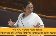 ‘সব স্কুল, কলেজে পুজো হয়েছে’ - বিধানসভায় ছবি দেখিয়ে বিজেপির অপপ্রচারের জবাব মমতার