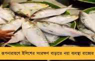 রূপনারায়ণে ইলিশের সংরক্ষণ বাড়াতে নয়া ব্যবস্থা রাজ্যের