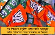 পদ্ম শিবিরের অনুষ্ঠানে চেয়ার-কালি ছোড়াছুড়ি! দলীয় কোন্দলের জেরে অস্বস্তিতে বঙ্গ বিজেপি 