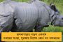 বিধ্বস্ত মণিপুরের জন্য বরাদ্দ ২ মিনিট! রাজ্যসভায় শাহের দু’ঘণ্টার ভাষণে অবহেলিত বাংলাও