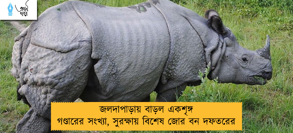 জলদাপাড়ায় বাড়ল একশৃঙ্গ গণ্ডারের সংখ্যা, সুরক্ষায় বিশেষ জোর বন দফতরের