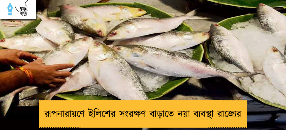 রূপনারায়ণে ইলিশের সংরক্ষণ বাড়াতে নয়া ব্যবস্থা রাজ্যের