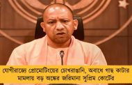 যোগীরাজ্যে প্রোমোটিংয়ের চোখরাঙানি, অবাধে গাছ কাটার মামলায় বড় অঙ্কের জরিমানা সুপ্রিম কোর্টের