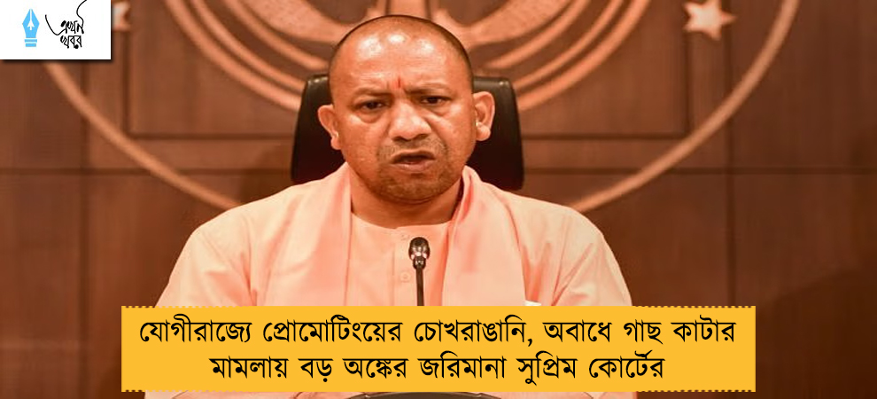 যোগীরাজ্যে প্রোমোটিংয়ের চোখরাঙানি, অবাধে গাছ কাটার মামলায় বড় অঙ্কের জরিমানা সুপ্রিম কোর্টের
