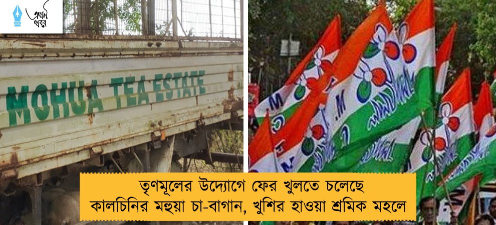 তৃণমূলের উদ্যোগে ফের খুলতে চলেছে কালচিনির মহুয়া চা-বাগান, খুশির হাওয়া শ্রমিক মহলে
